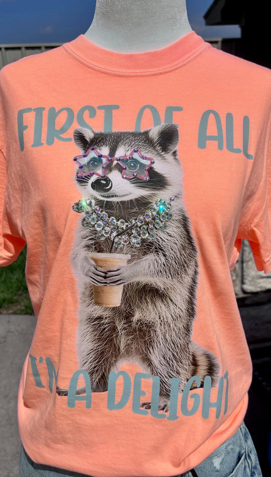 Delight racoon