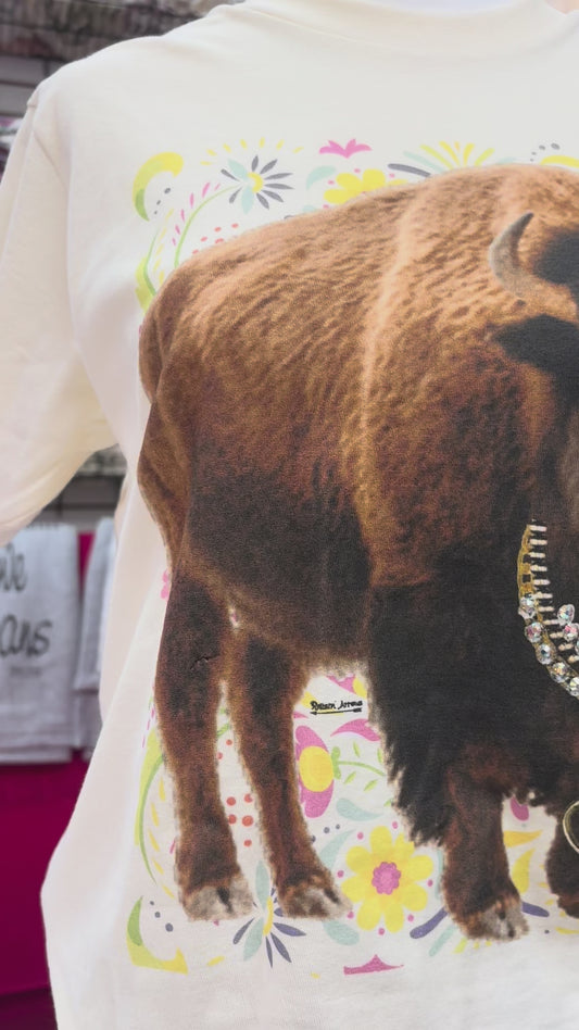 Buffalo snaffle