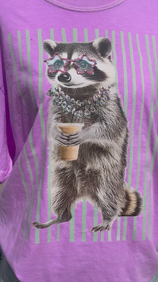 Stripe Racoon