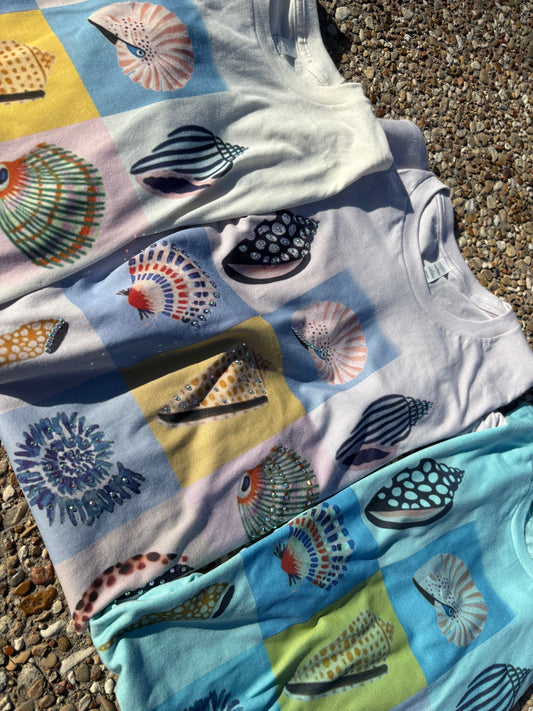 Sea Shells
