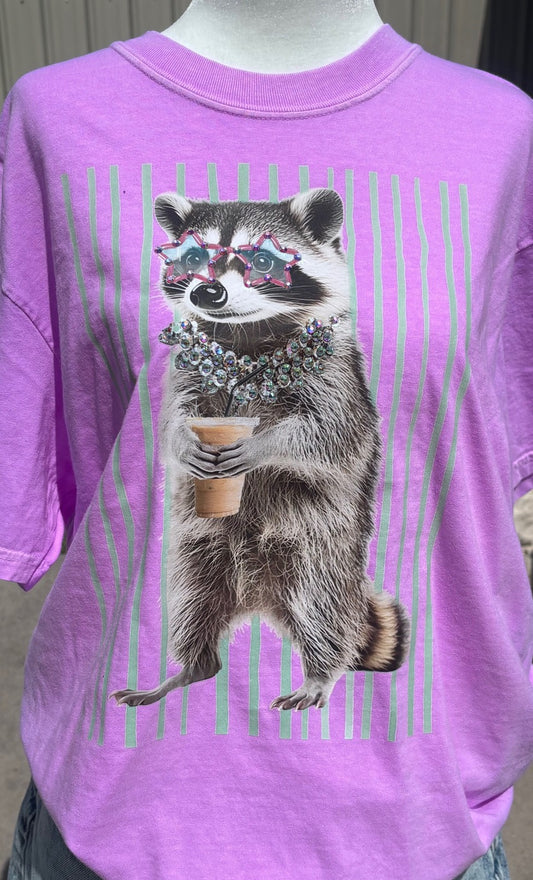 Stripe Racoon
