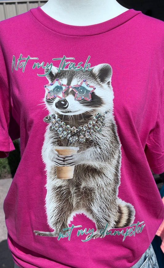 Trash Racoon