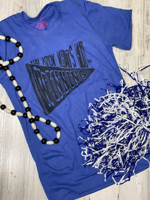 You know what's fun...WINNING.